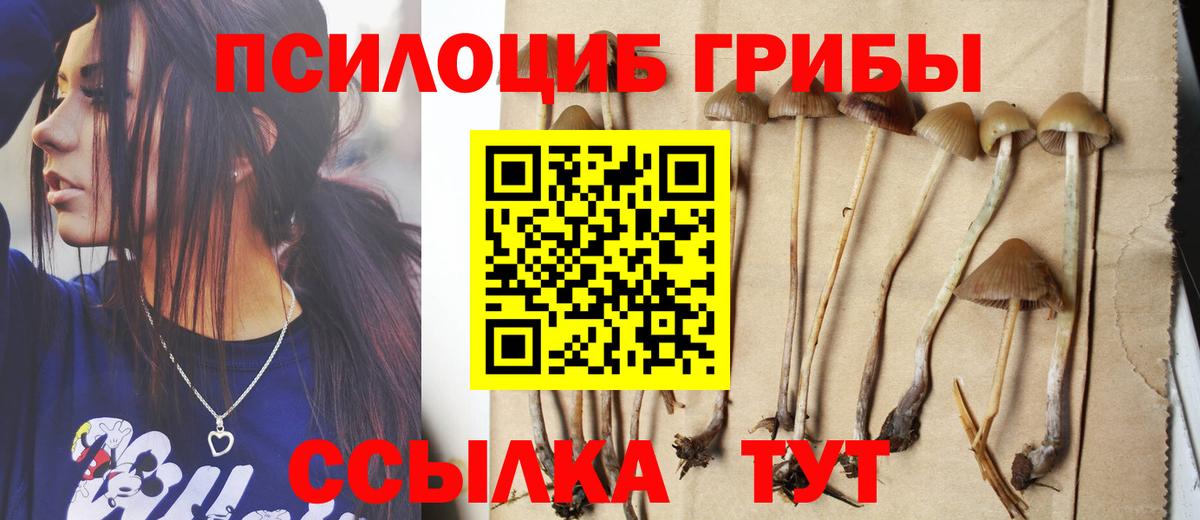 Зеленокумск  Галлюциногенные грибы Cubensis  Вход с VPN 