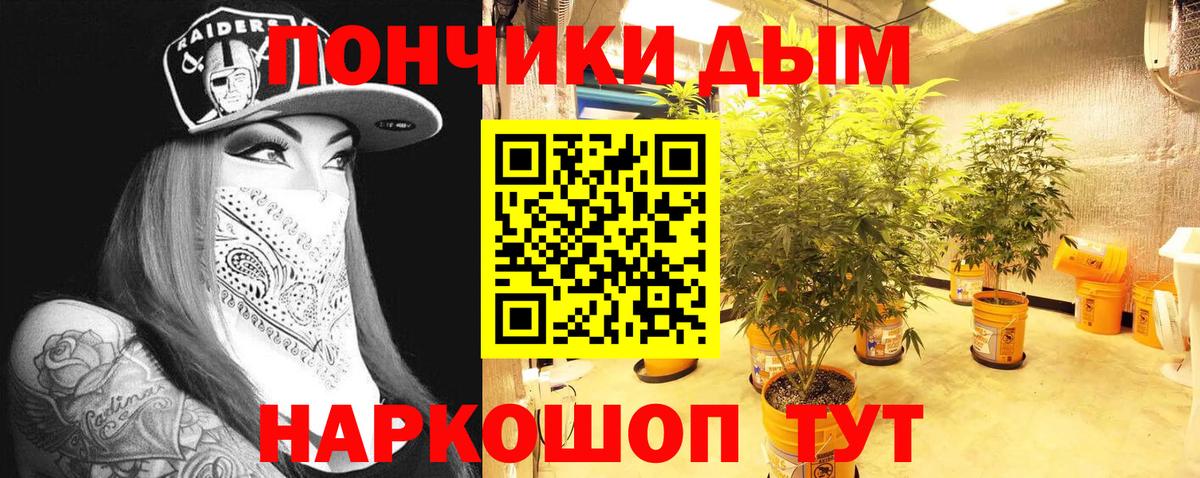 Бошки марихуана сатива Зеленокумск